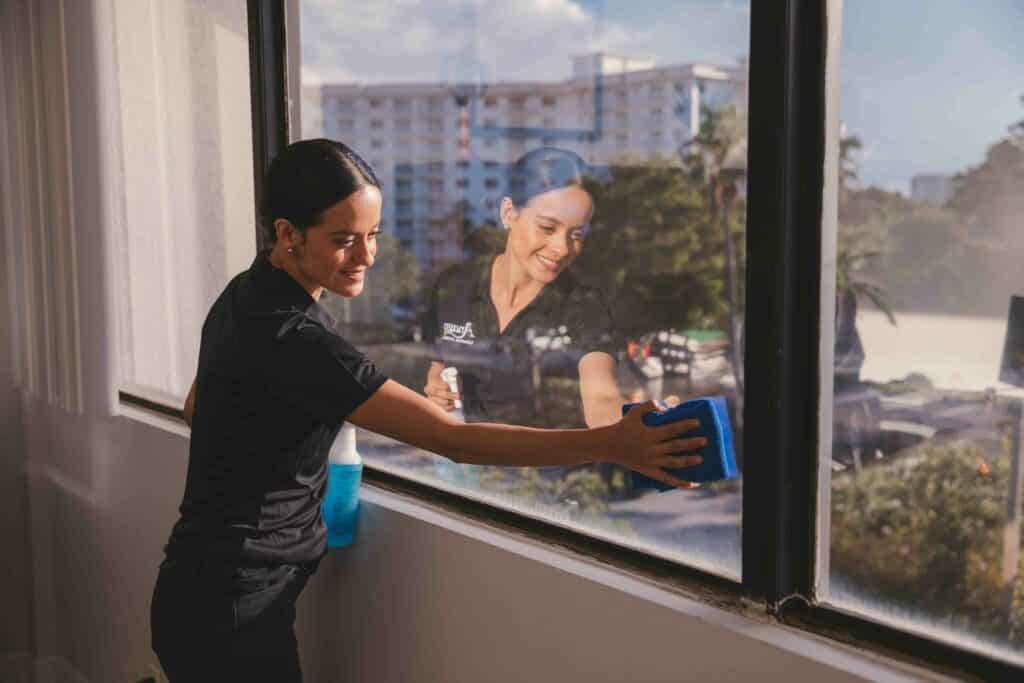 Outdoor Window Cleaner